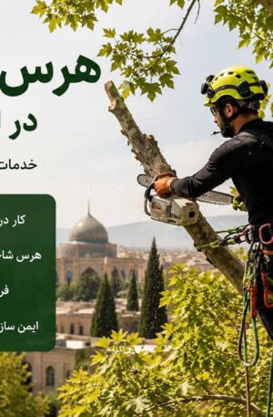 هرس درخاتن کار در ارتفاع شیراز