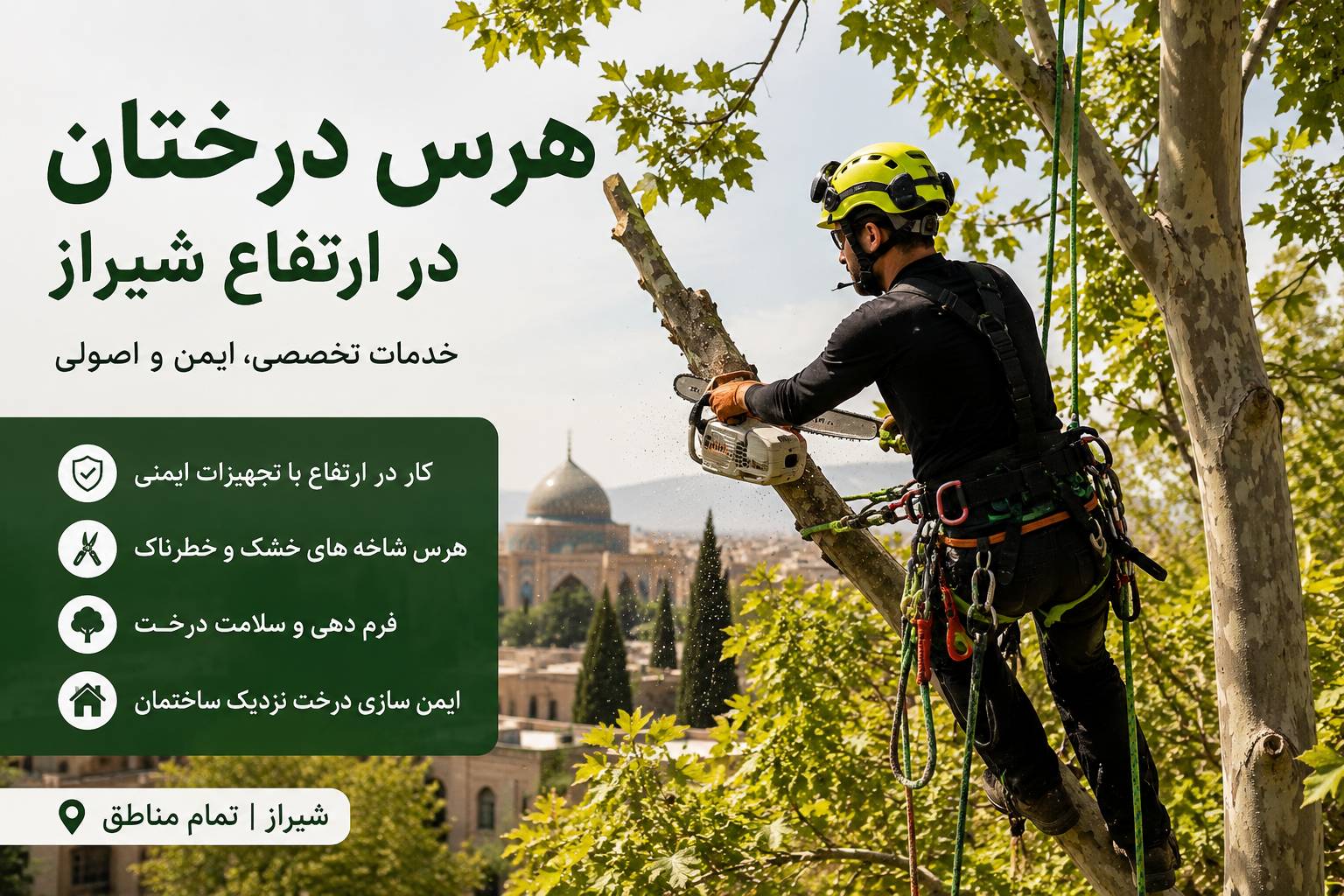 هرس درخاتن کار در ارتفاع شیراز